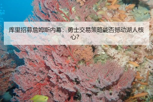 库里招募詹姆斯内幕：勇士交易策略能否撼动湖人核心？