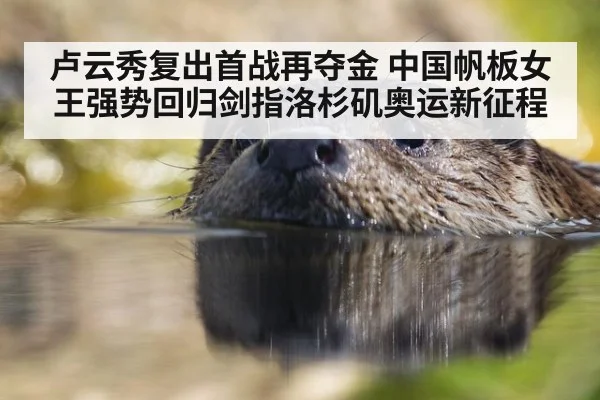 卢云秀复出首战再夺金 中国帆板女王强势回归剑指洛杉矶奥运新征程